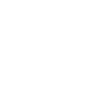 Brasil Ride - Icon